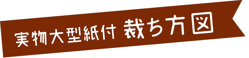 実物大型紙付 裁ち方図