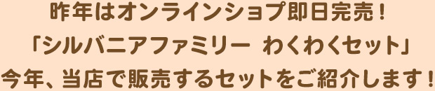 シルバニアファミリー わくわくセット【森の手芸屋さんオリジナルプレゼント付き！】