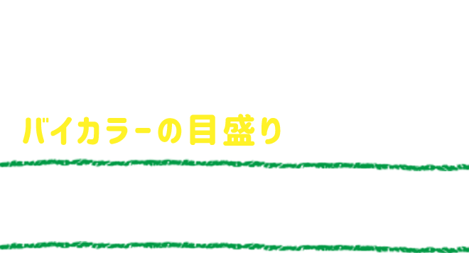 クロバー 方眼定規 30cm ポイント